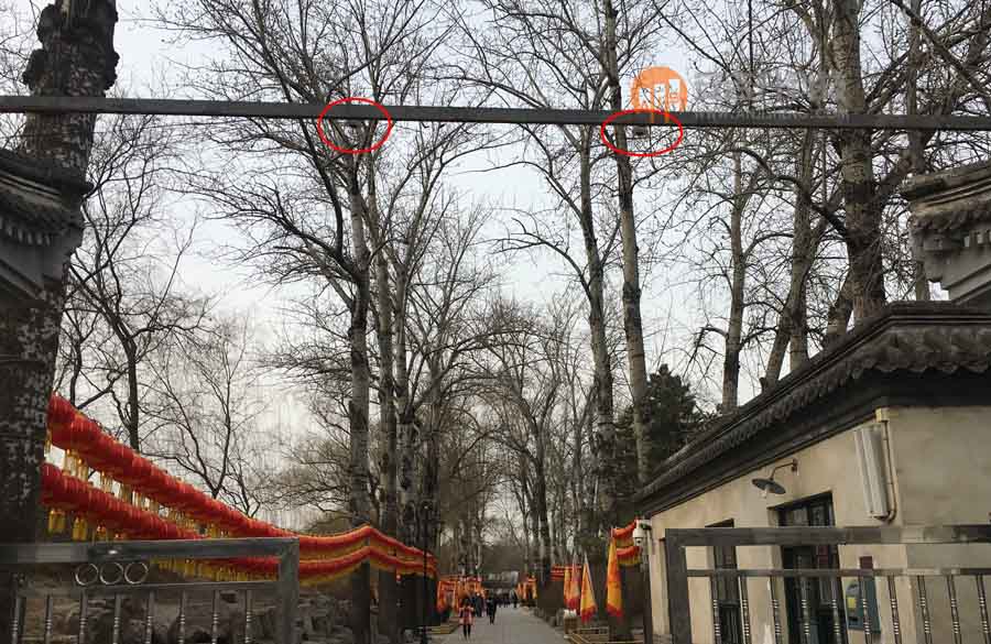 圆明园全面采用我司客流统计系统管理园区客流(图2) 圆明园全面采用我司客流统计系统管理园区客流(图2)