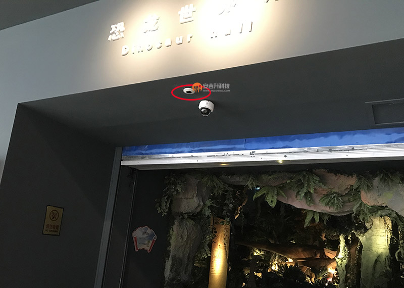 博物馆怎么统计客流量?内蒙古恐龙博物馆采用我司客流统计和客流分析系统管理客流量(图2) 内蒙恐龙 5.jpg